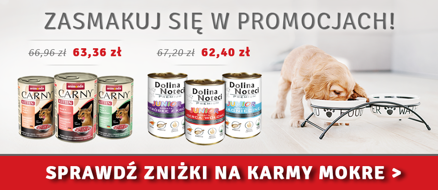 Co jest tansze w utrzymaniu Pies czy kot?