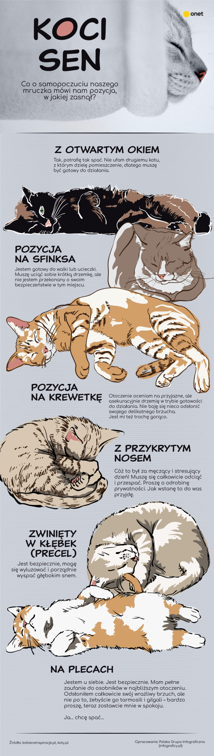 Co mówi pozycja w jakiej śpi kot?