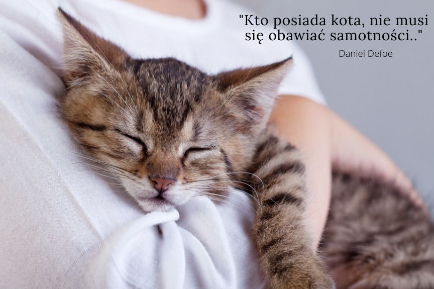 Co myśli o nas kot?