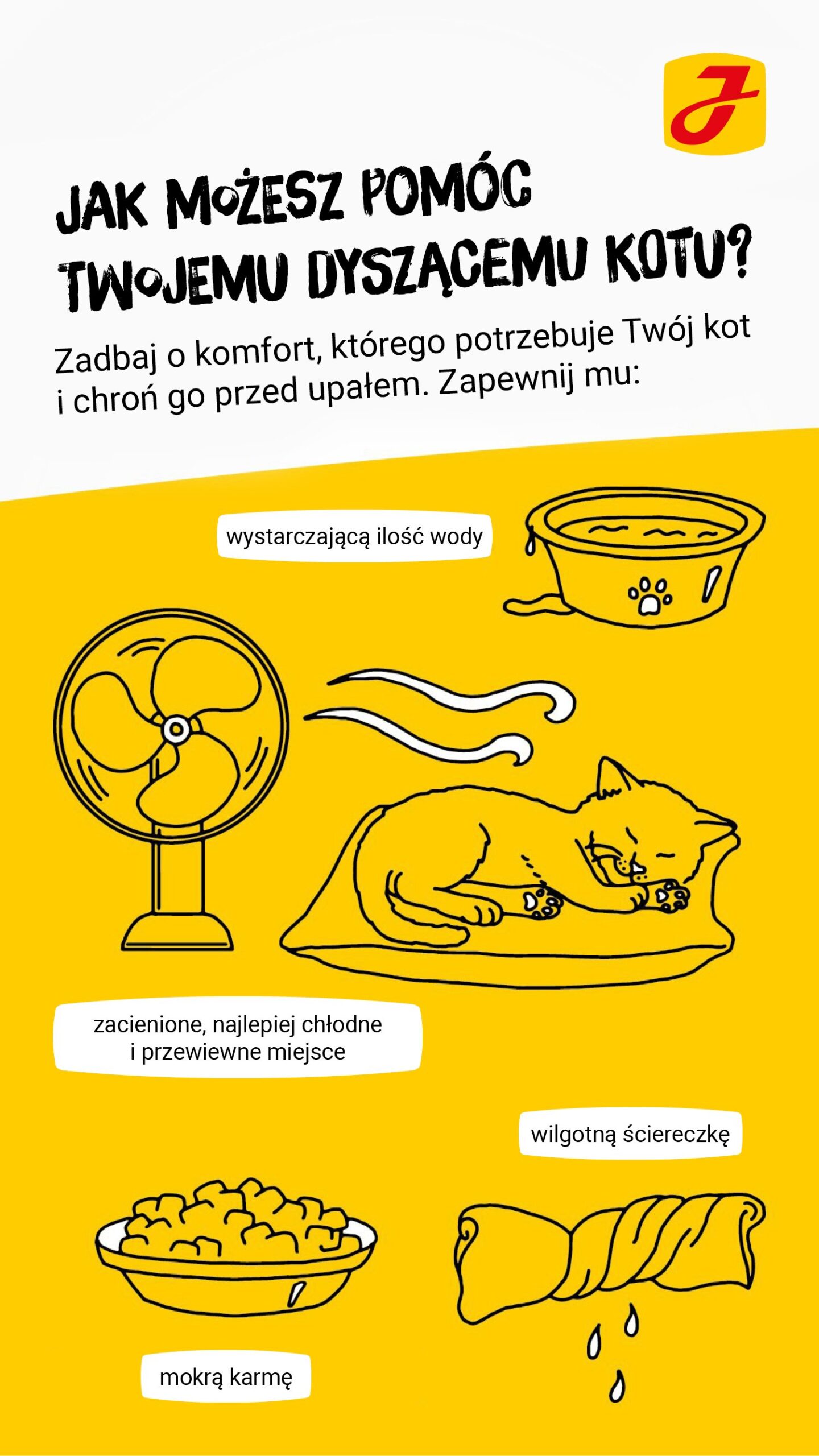 Co oznacza szybki oddech u kota?