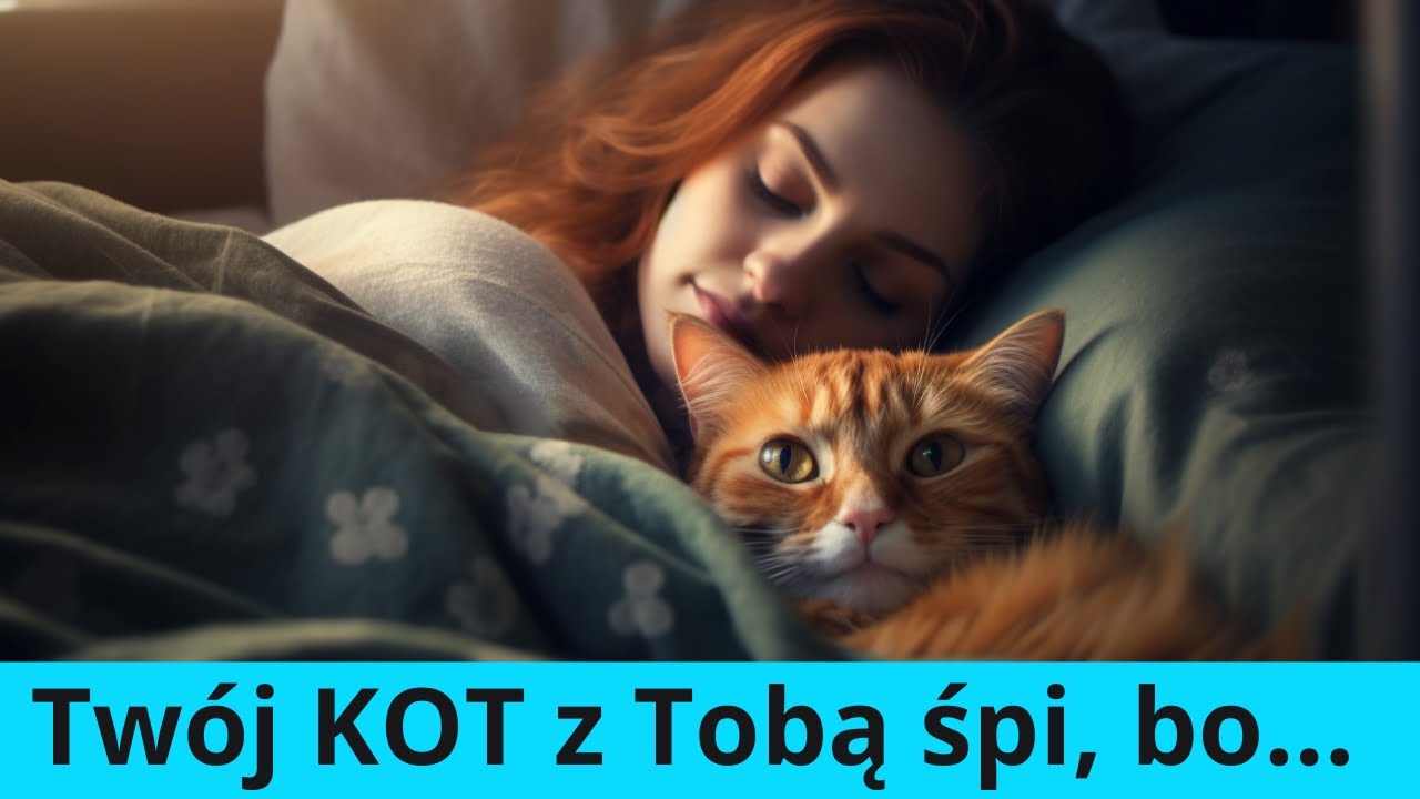 Co to znaczy jak kot z tobą śpi?