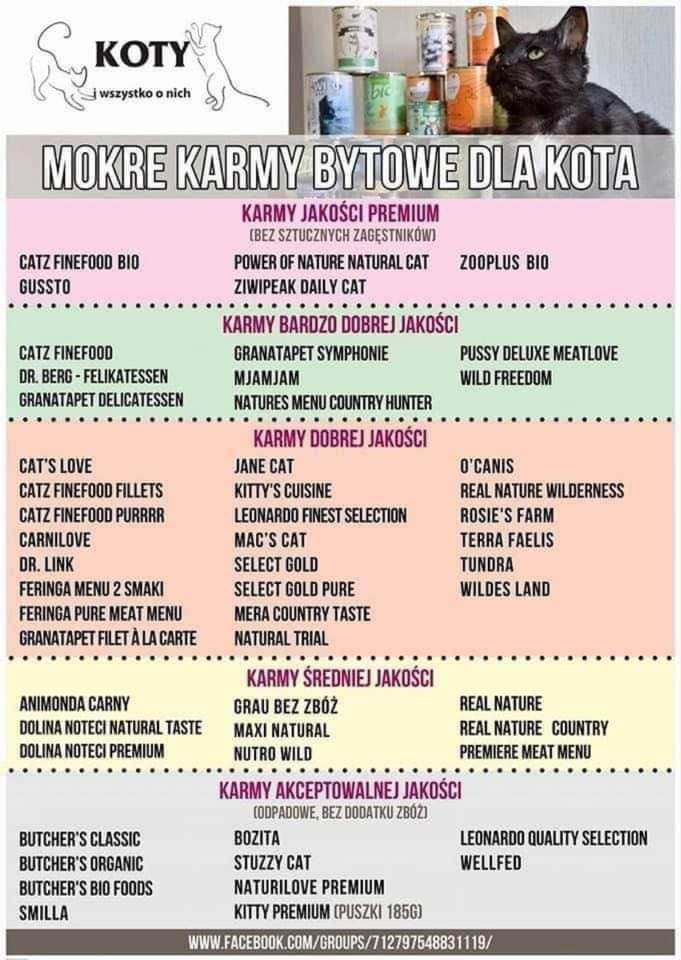 Co trzeba zrobić po zakupie kota?