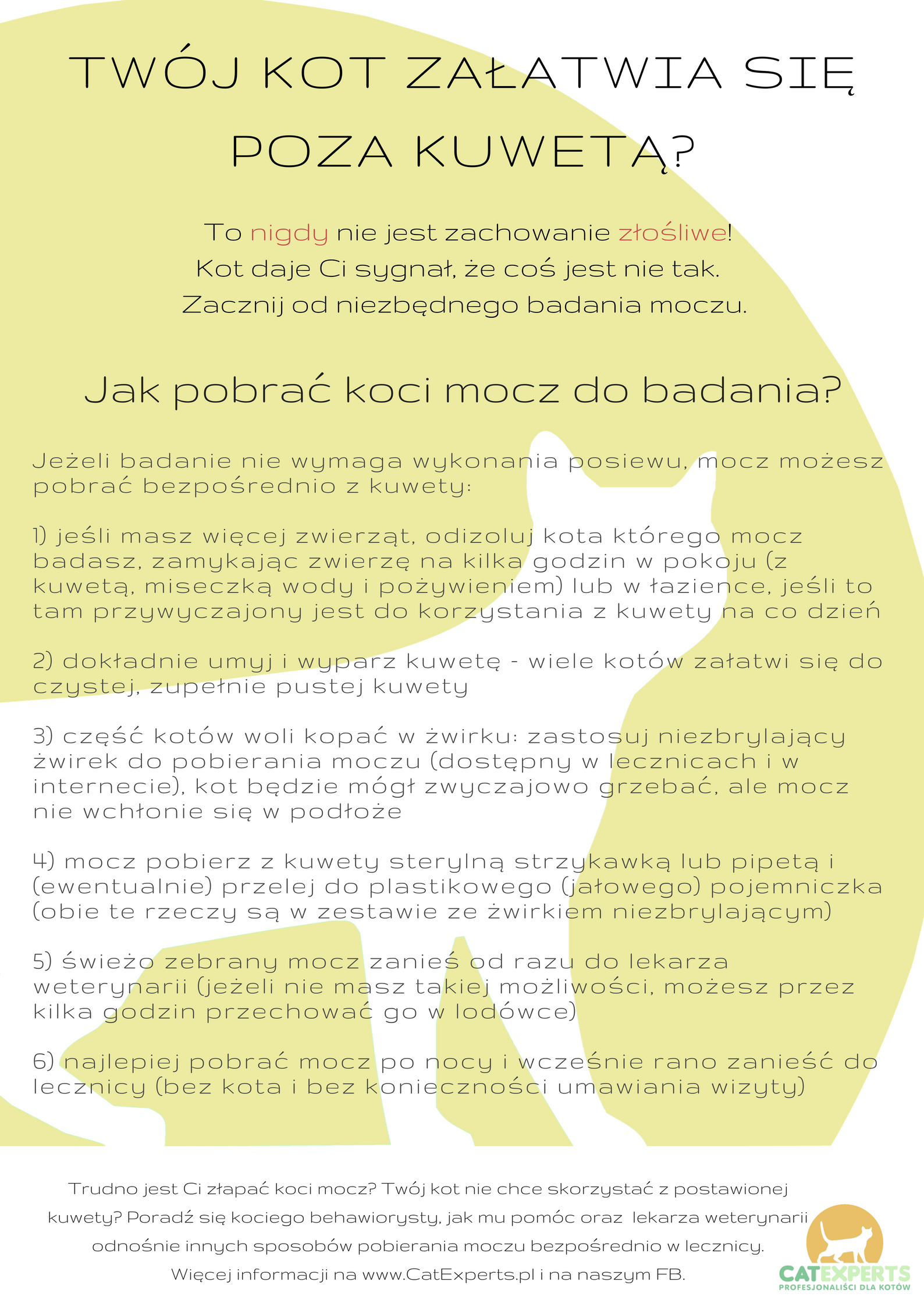 Co zrobić jak kot nie robi do kuwety?