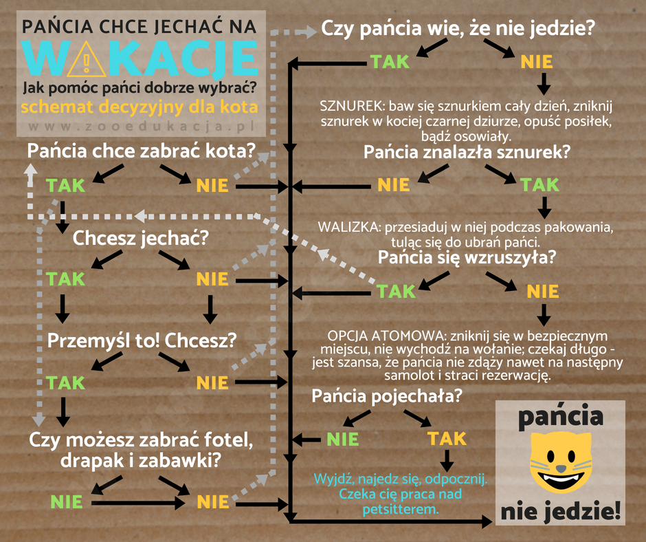 Co zrobić z kotem gdy wyjeżdża się na wakacje?