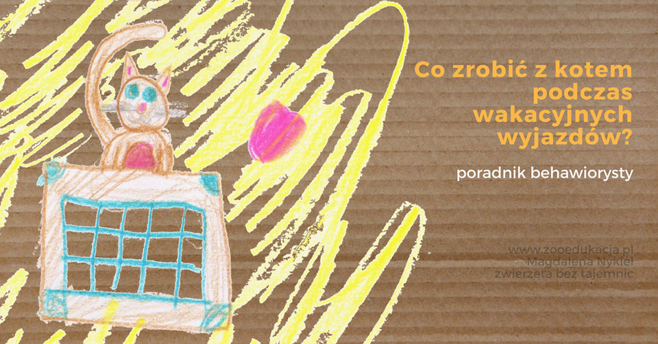 Co zrobić z kotem podczas wyjazdu na wakacje?