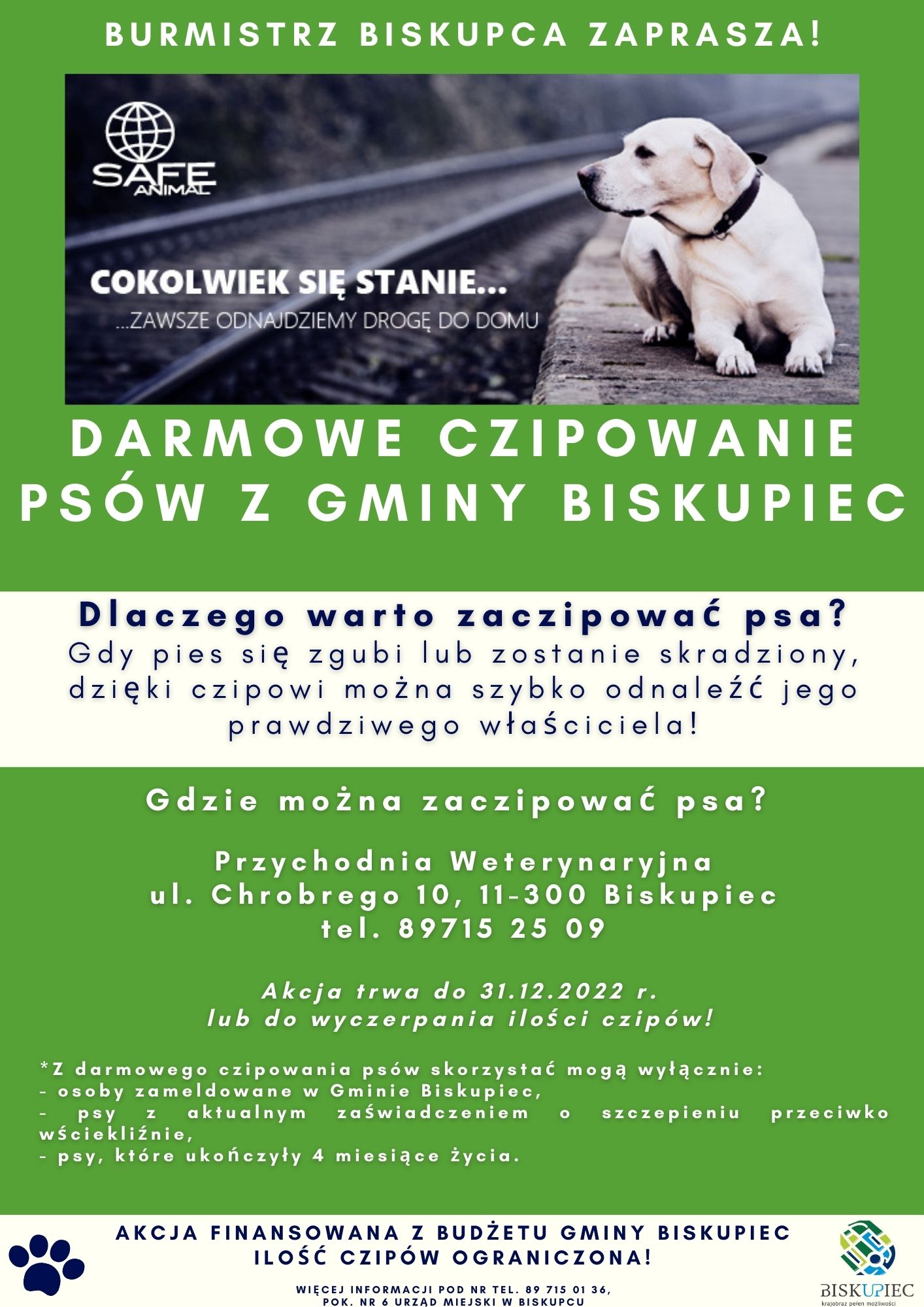 Czy czipowanie jest darmowe?