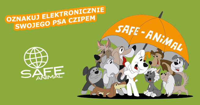 Czy jest obowiązek rejestracji kota?