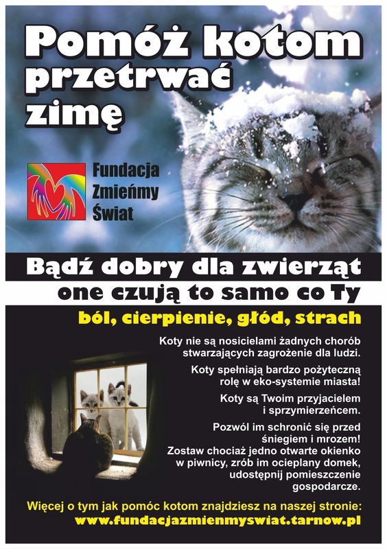 Czy kot przezyje na dworze?