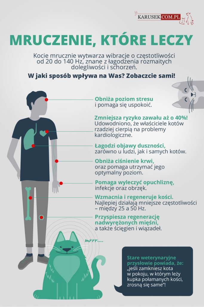 Czy kot uzdrawia?