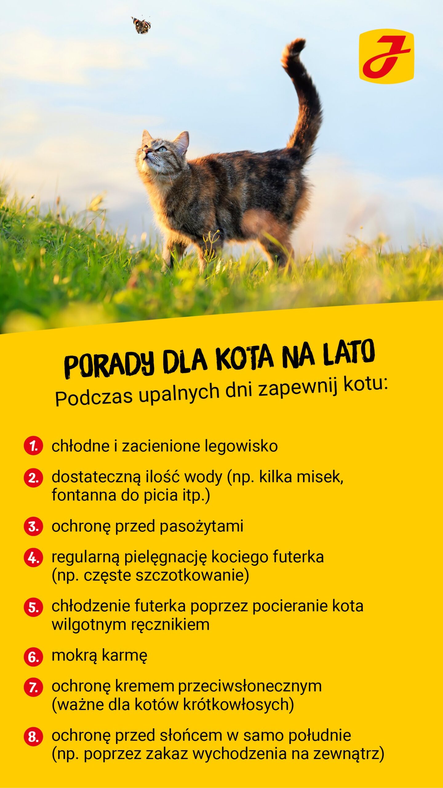 Czy kotom jest gorąco w lato?
