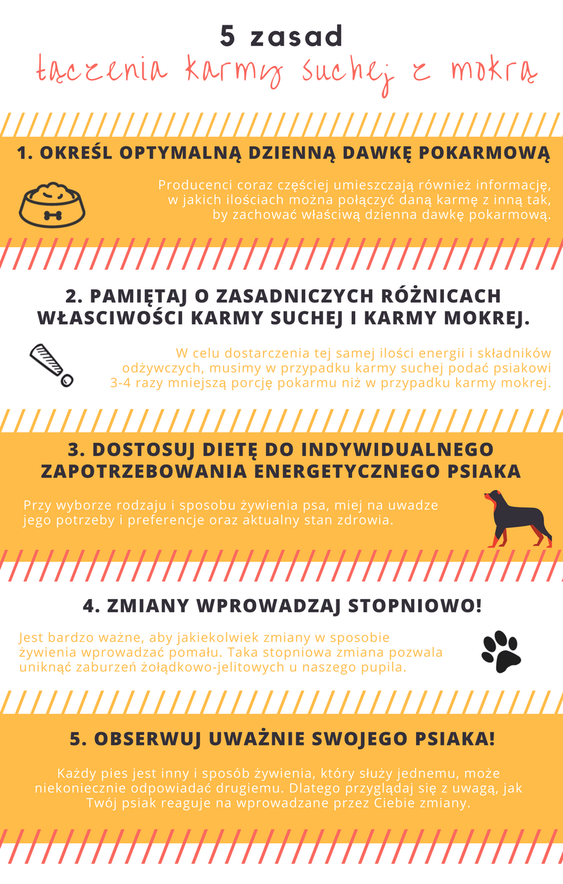 Czy można mieszać karmę sucha i mokra?