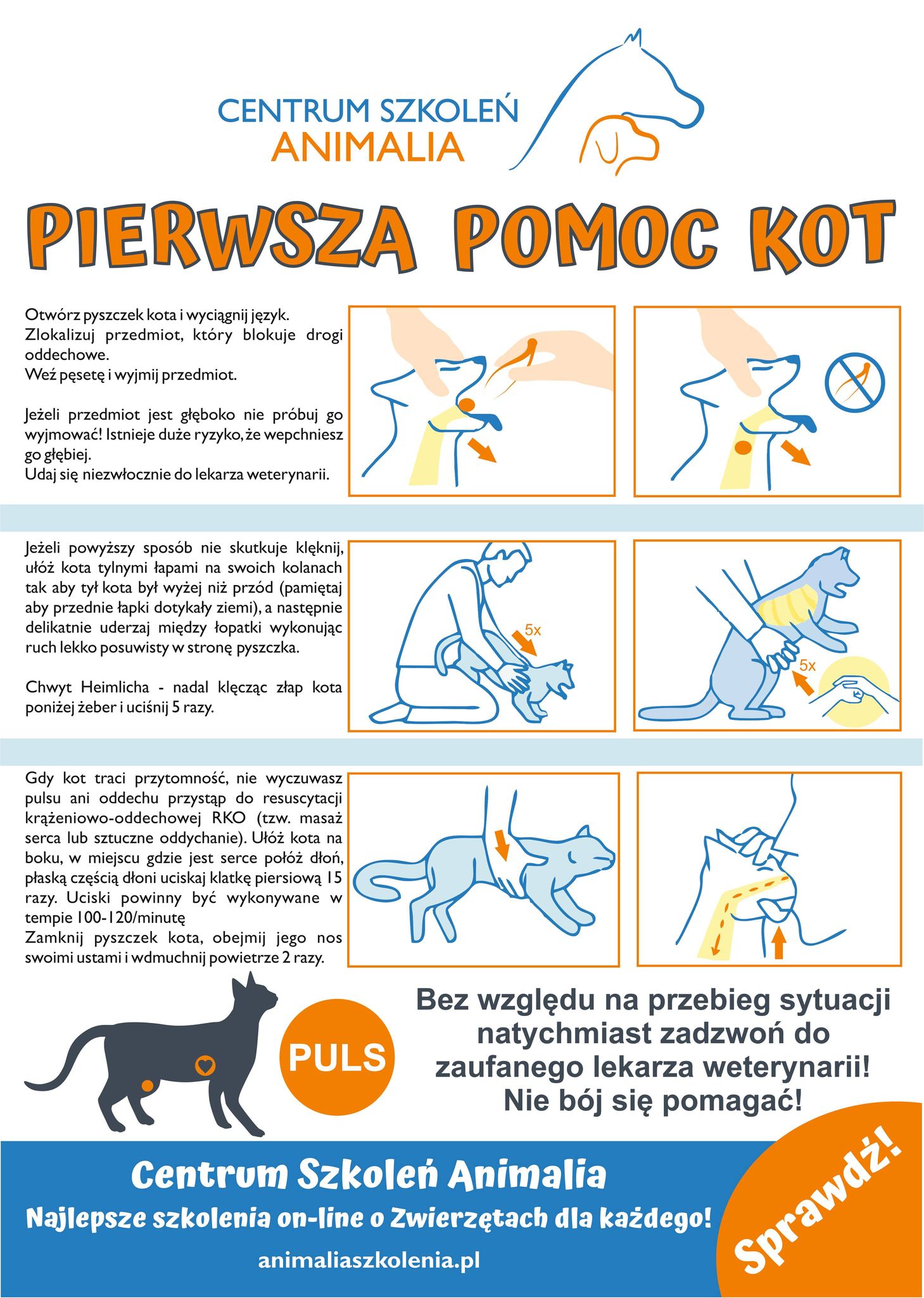Czy można reanimować kota?