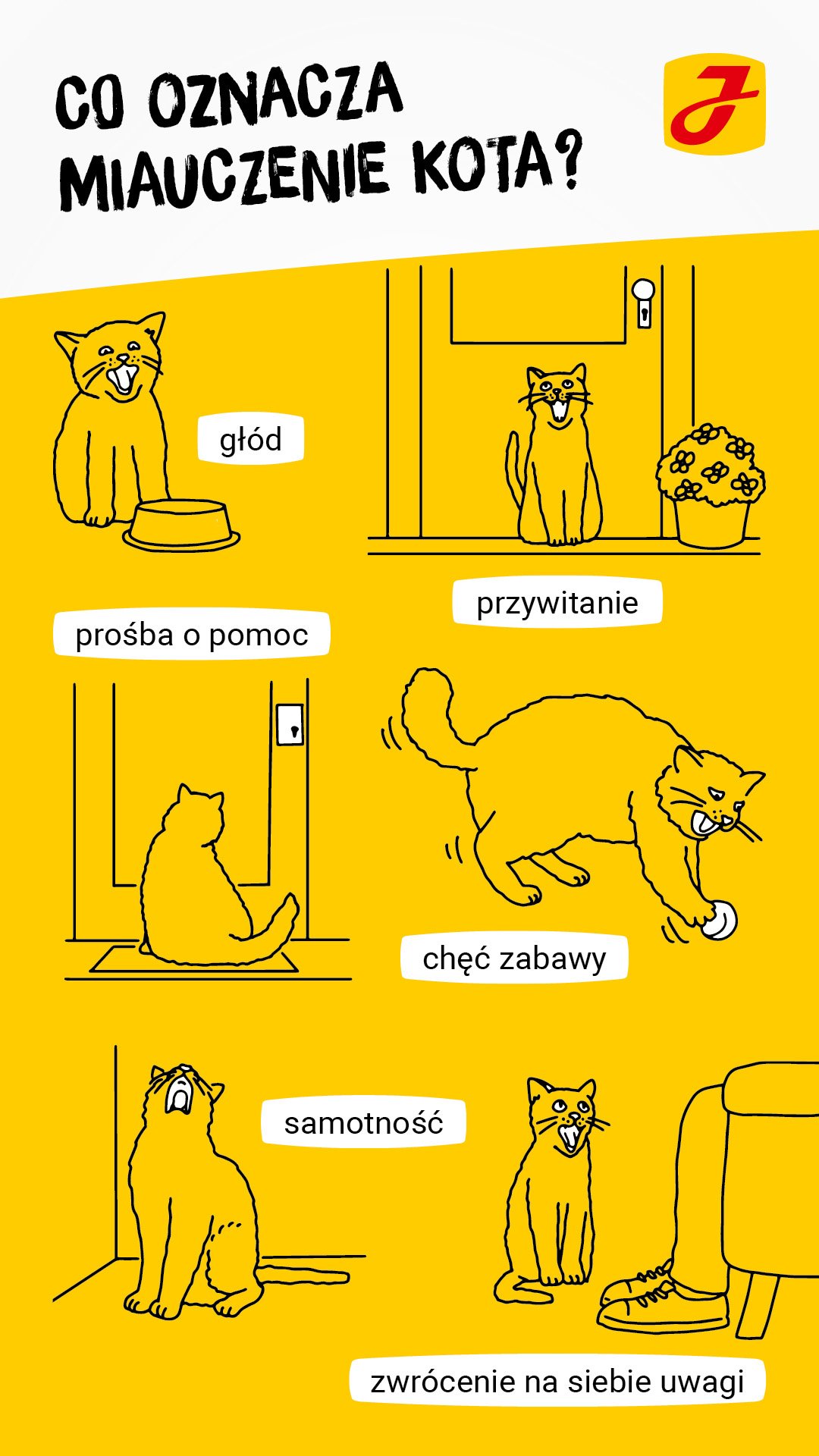 Dlaczego kot miauczy na rekach?