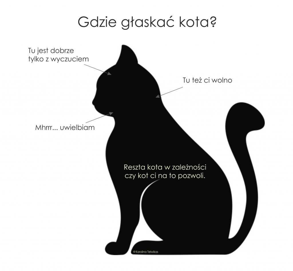 Gdzie dotykac kota?