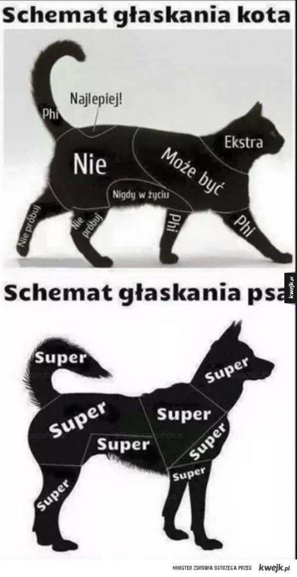 Gdzie kot lubi być głaskany?