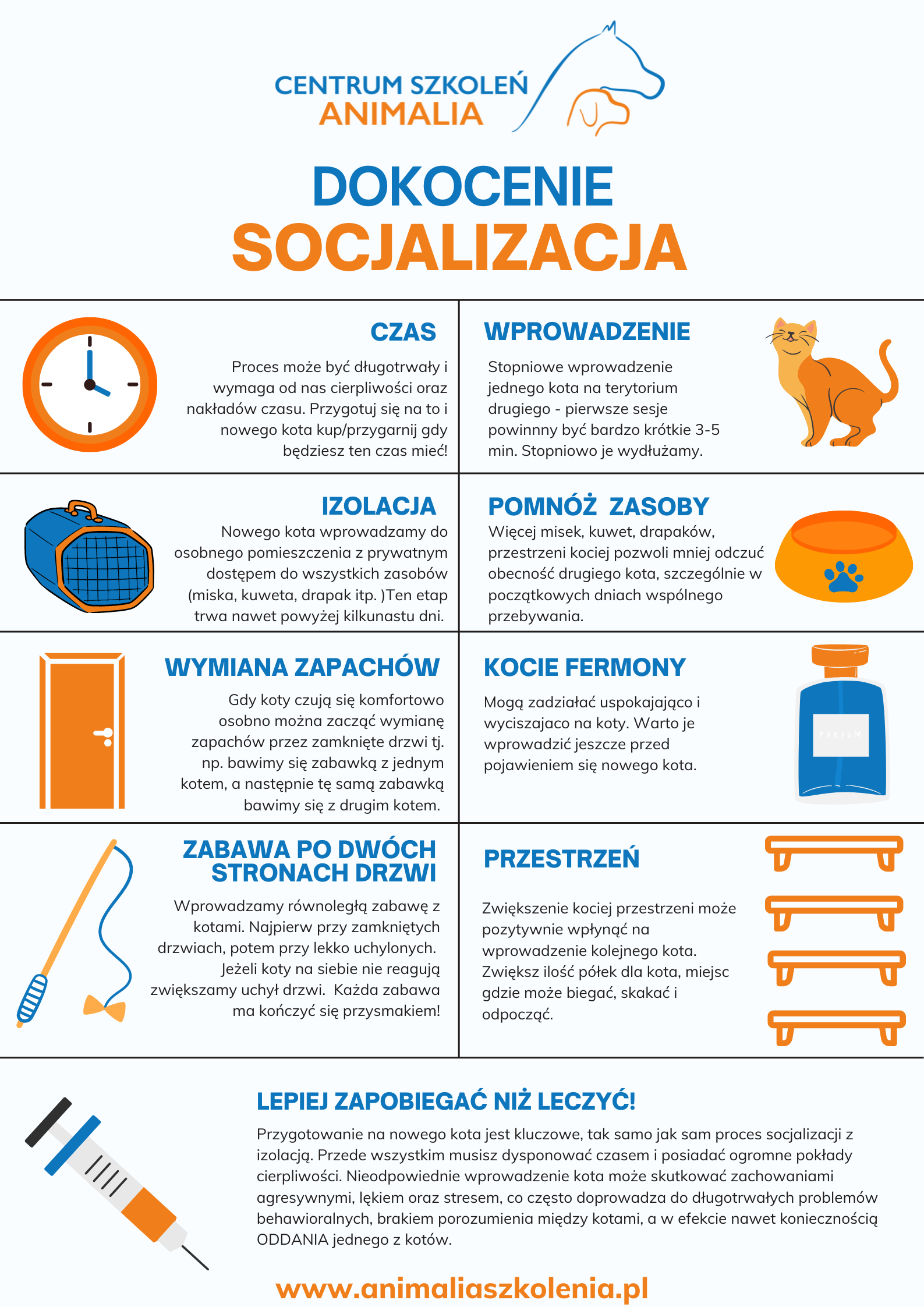 Ile czasu trwa socjalizacja kotów?