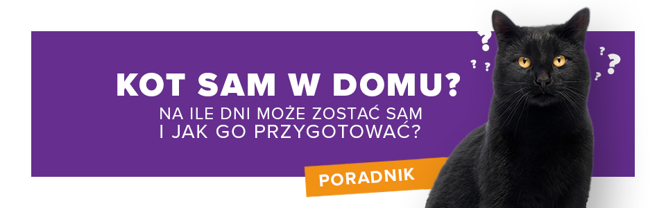 Ile dni kota może nie być w domu?