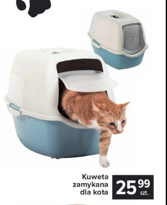 Ile kosztuje kuweta dla kota?