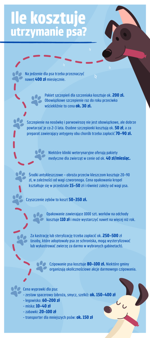 Ile kosztuje rejestracja psa w bazie?
