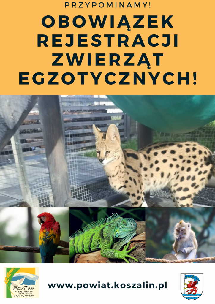 Ile kosztuje rejestracja zwierząt?