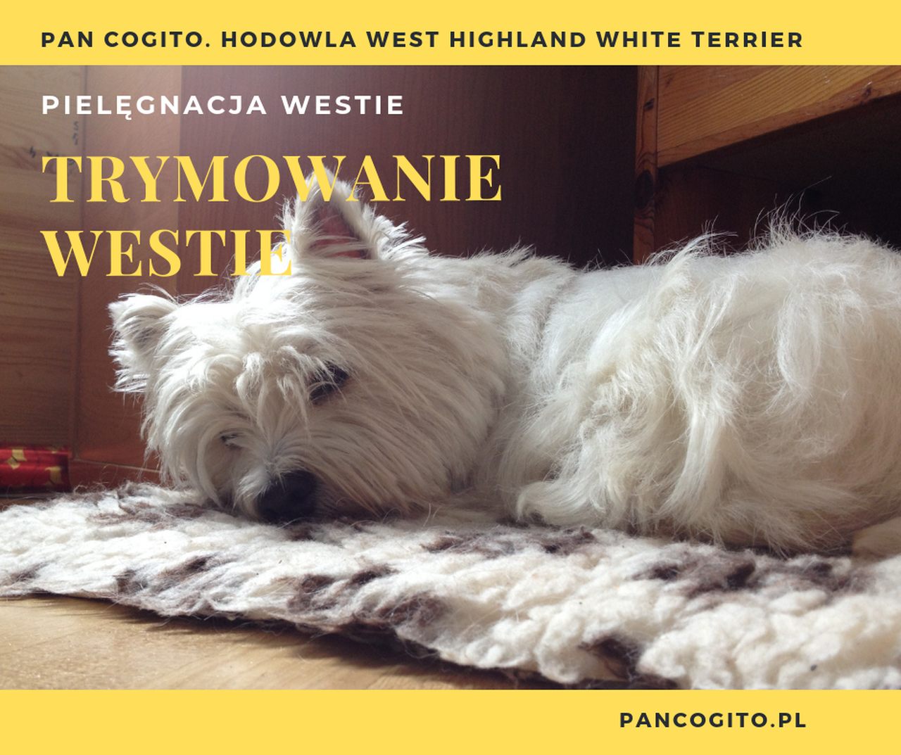 Ile kosztuje trymowanie Westa?