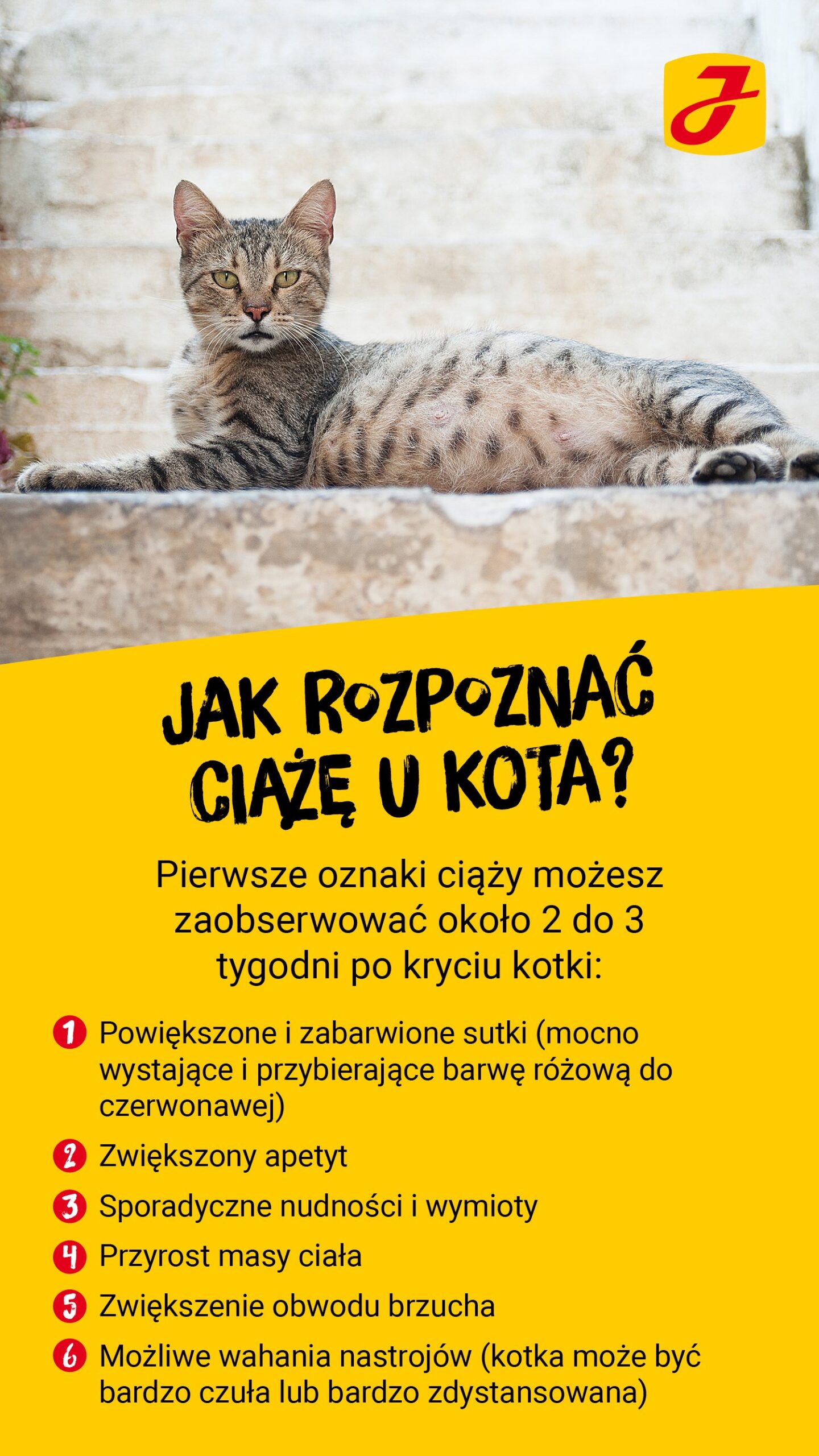 Ile razy w roku koci się kot?