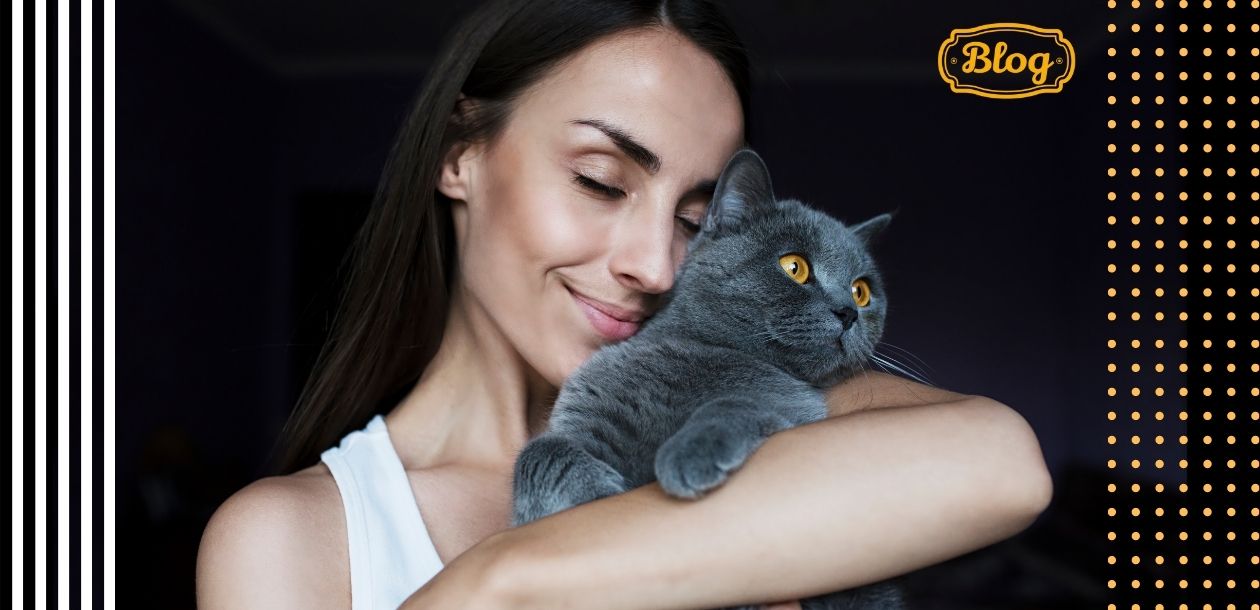 Jak kot okazuje że cię kocha?