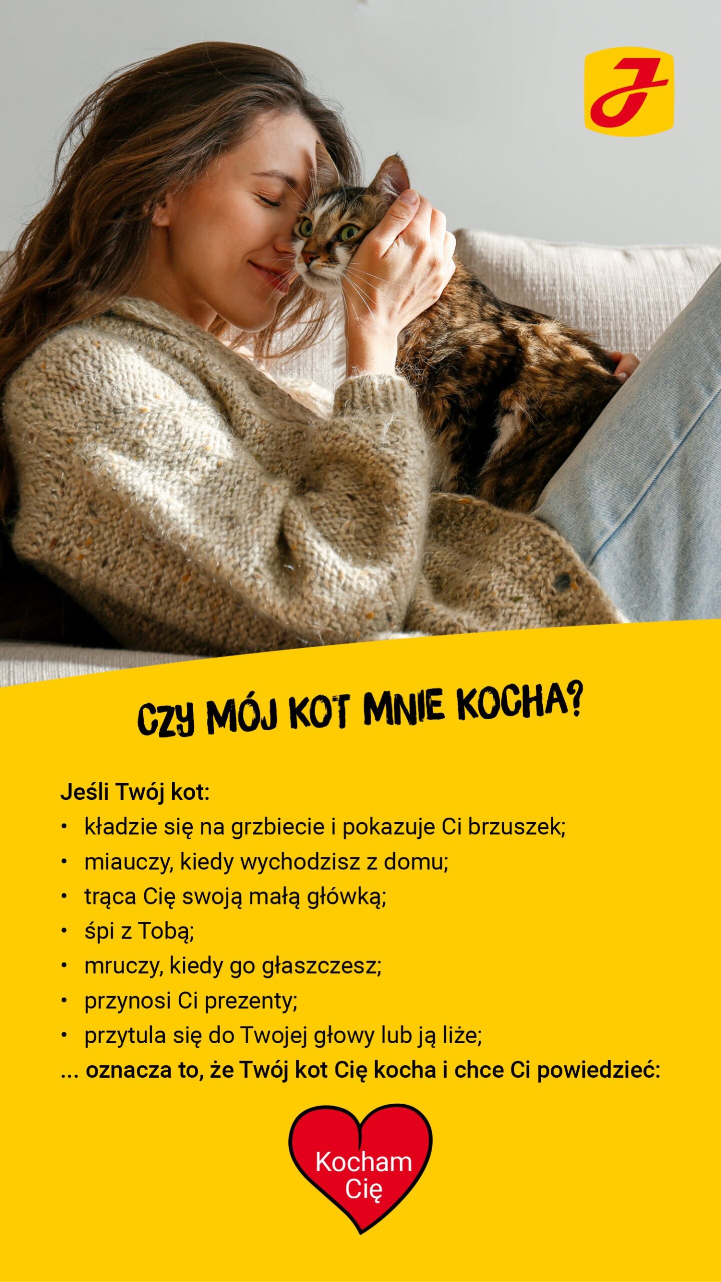 Jak koty mowia kocham cię?