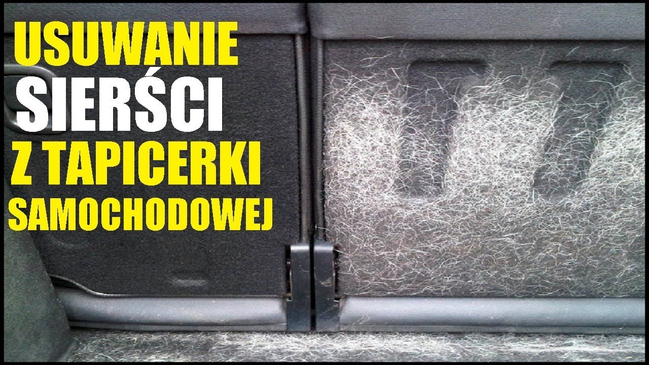 Jak łatwo usunąć sierść z tapicerki?