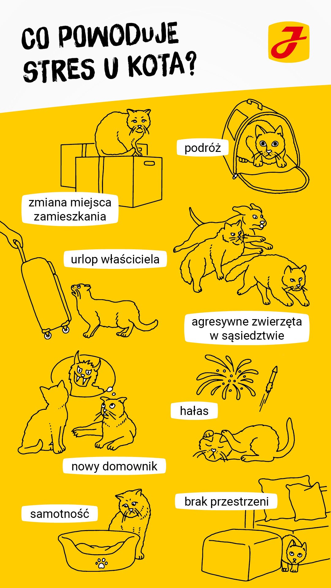 Jak objawia się stres u kota?