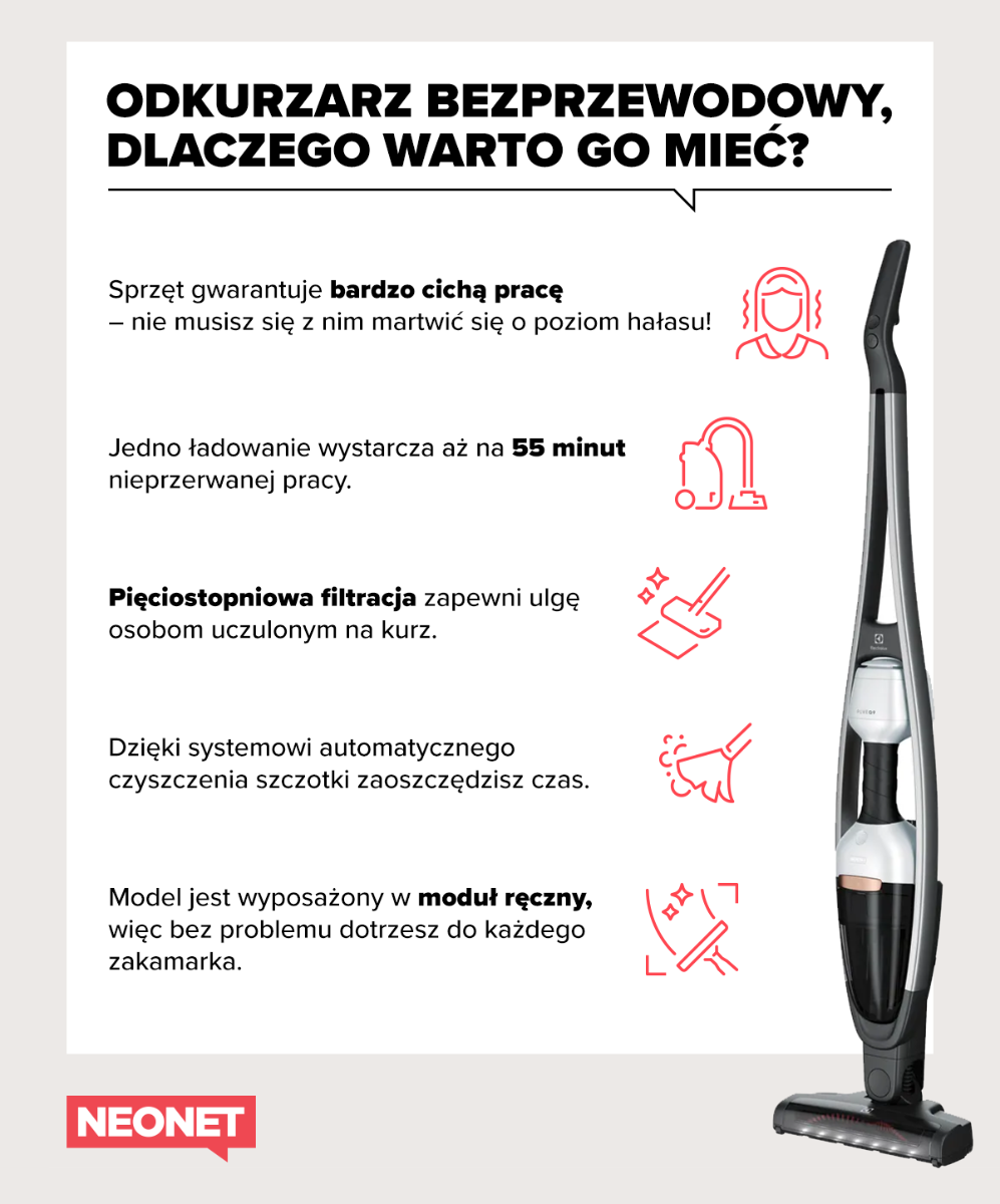 Jak pozbyć się szybko sierści z dywanu?
