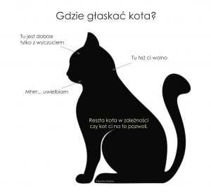 Jak prawidłowo głaskać kota?