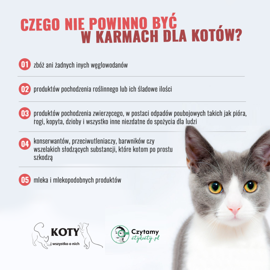 Jak rozpoznać dobra karmę dla kota?