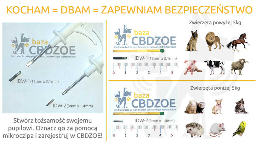 Jak sprawdzić czy chip jest zarejestrowany?