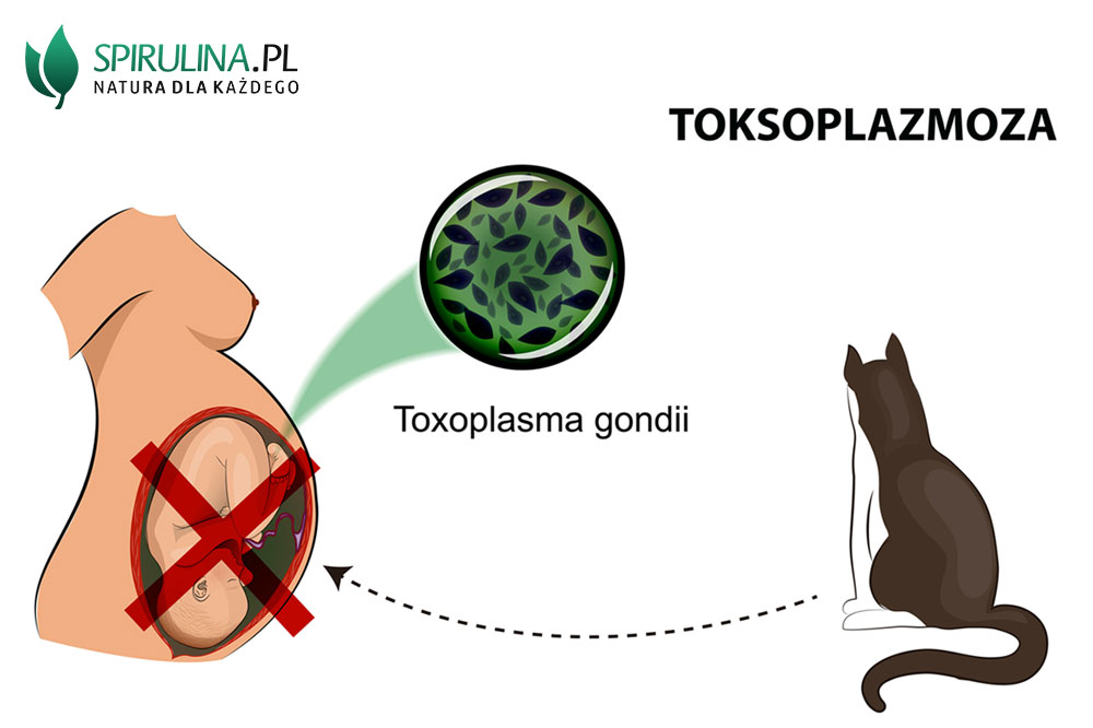 Jakie są objawy toksoplazmozy?
