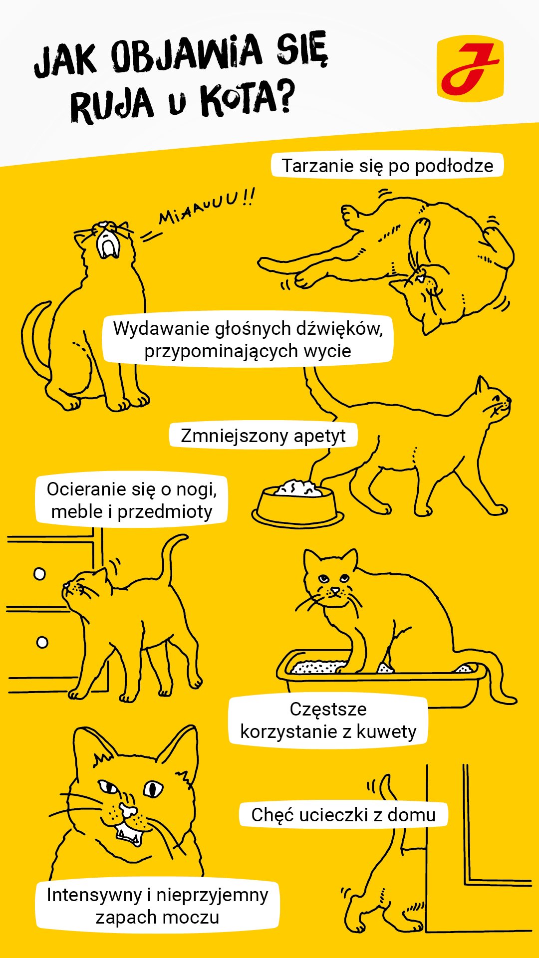 Kiedy kocury osiągają dojrzałość płciową?