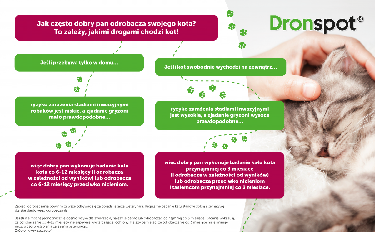 Kiedy trzeba odrobaczyć kota?