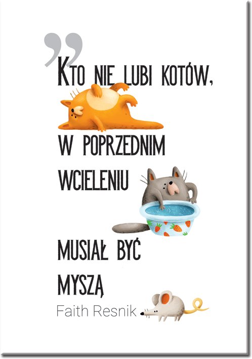 Kto nie lubi kotów?