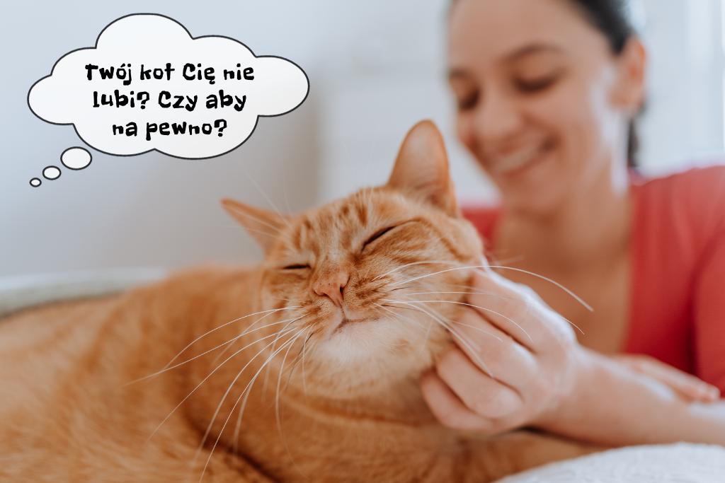 Po czym poznać że kot mnie nie lubi?