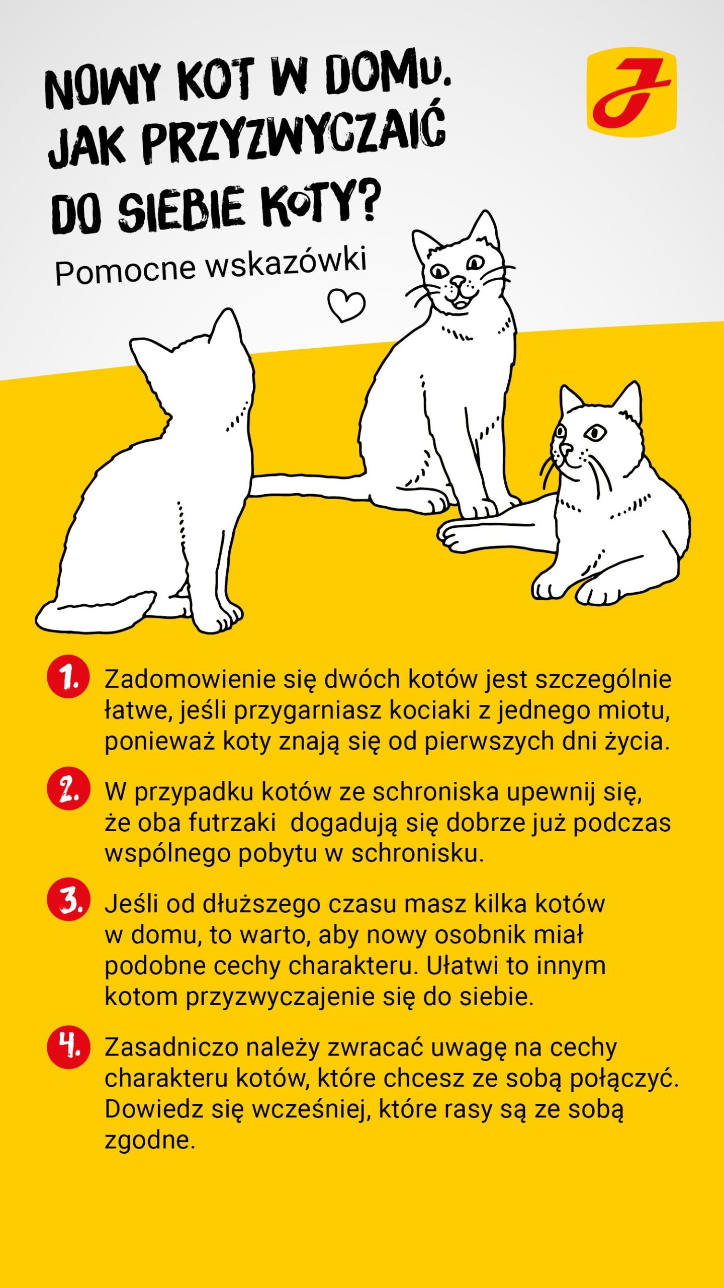 Po jakim czasie koty się do siebie przyzwyczaja?