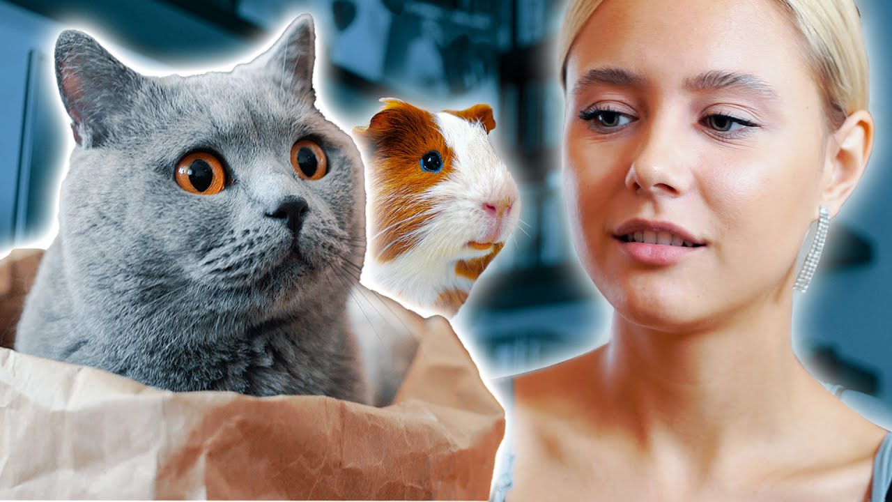 Co koty myślą o ludziach?