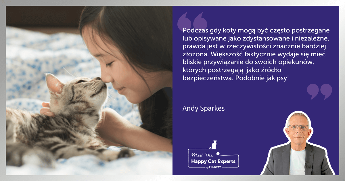 Czy koty przywiązują się do człowieka?