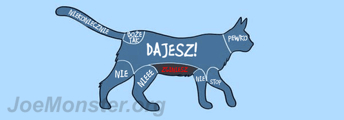 Gdzie kot nie lubi być głaskany?