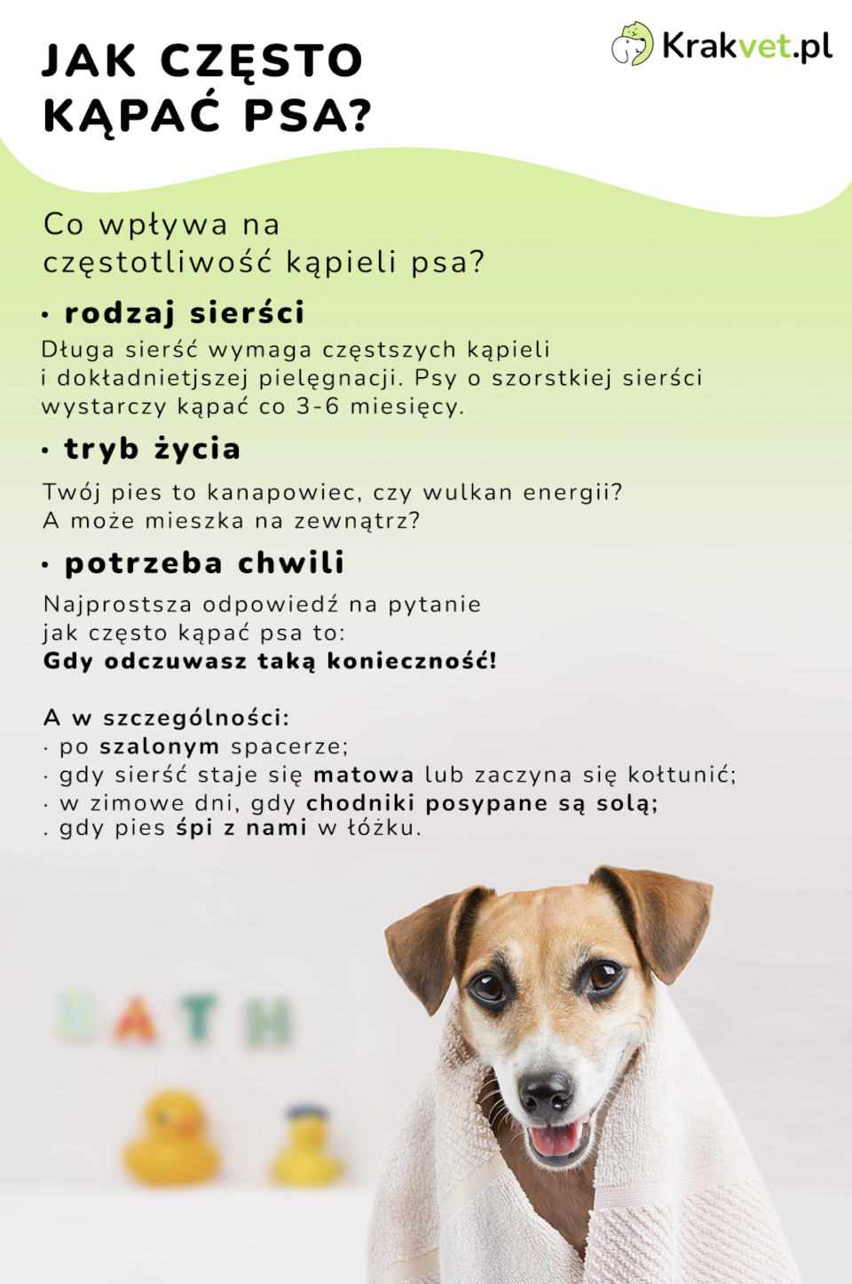 Ile razy można myć psa?