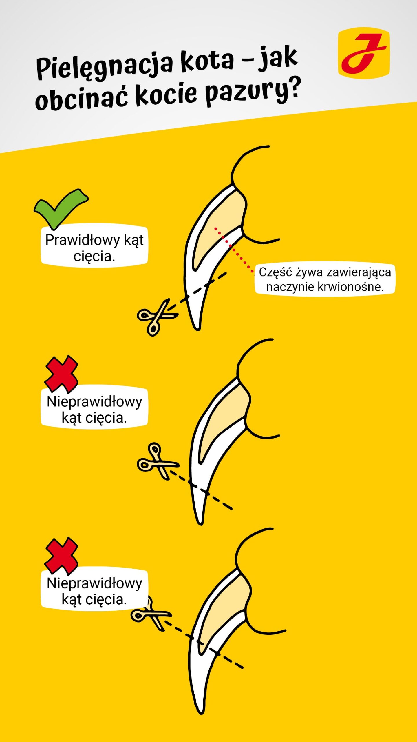 Jak obciac kota w domu?