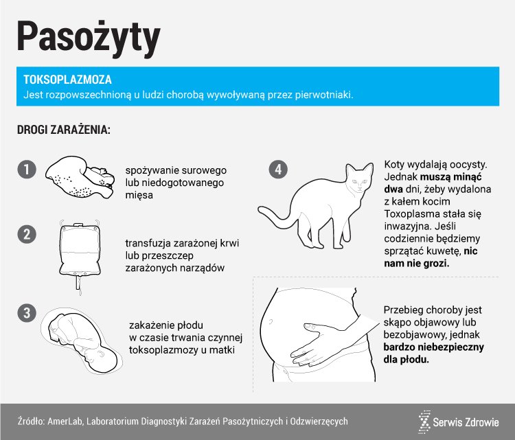 Jak się nie zarazić toksoplazmoza?