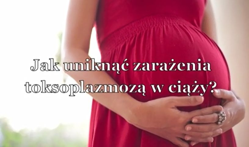 Jak uniknac zarażenia toksoplazmozą?