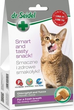 Jak zlikwidować przykry zapach z pyska kota?