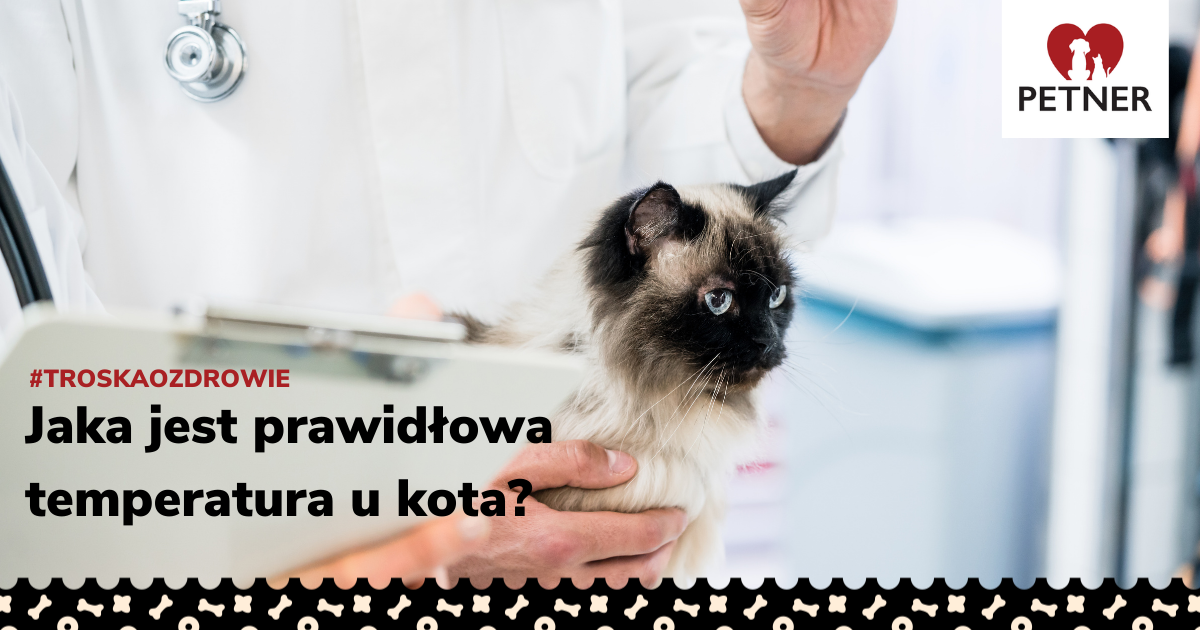 Jaką temperaturę lubi kot?