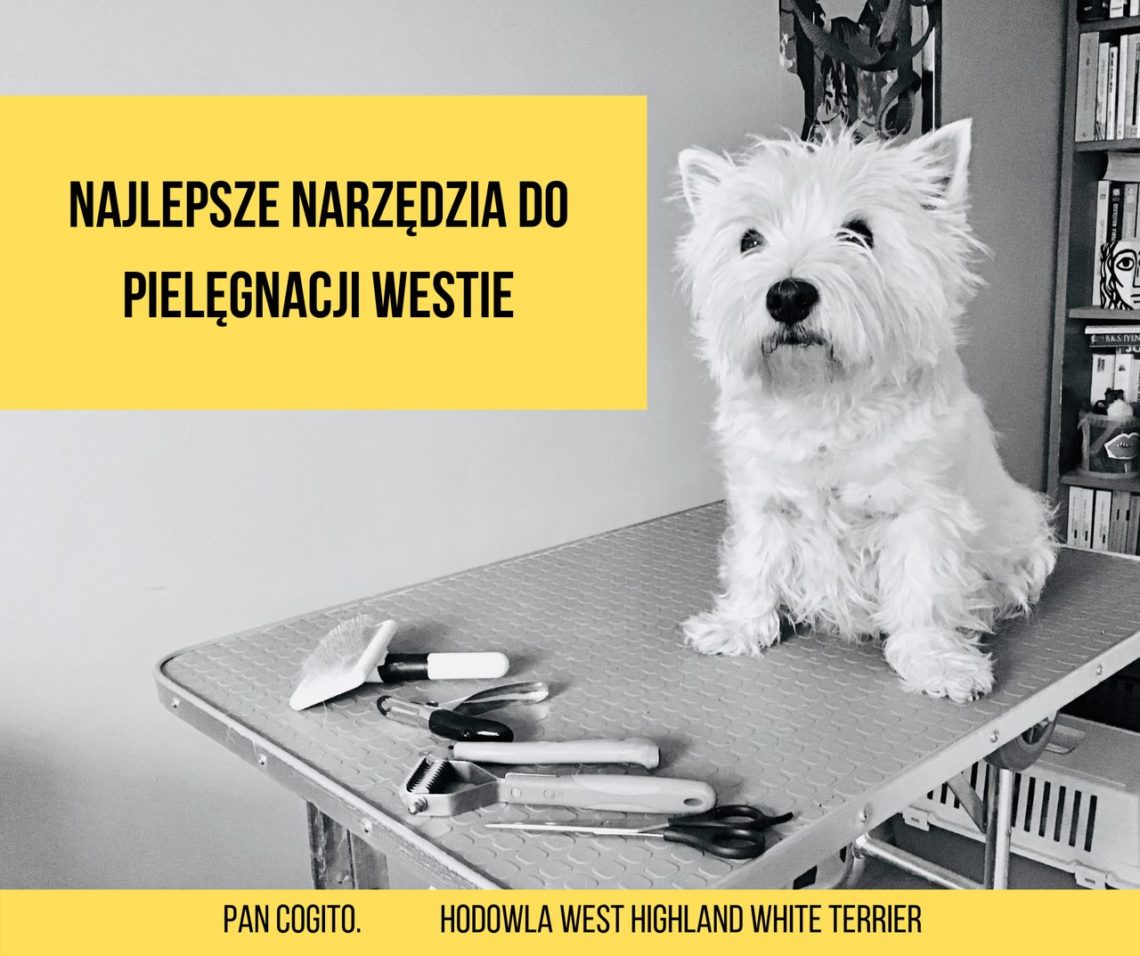 Jaki trymer dla Westa?